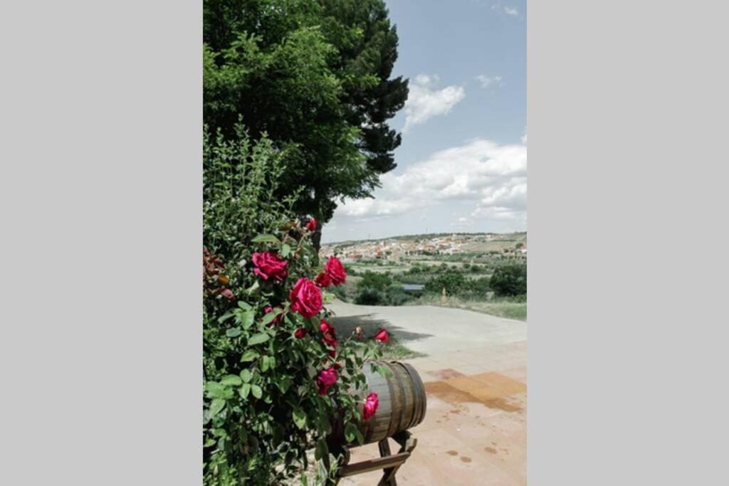 Casa Cueva Piena, Holiday home Alcudia de Guadix